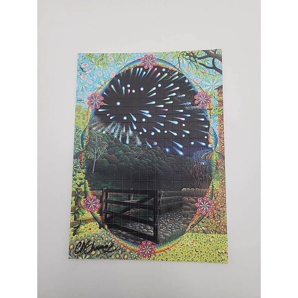 Ciaran Shaman "Leonid Panspermia "‎ signed blotter art print Psychedelic Art